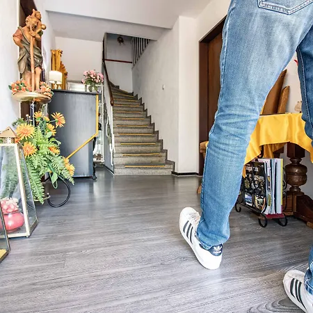 Affittacamere Tannenhof Lütz