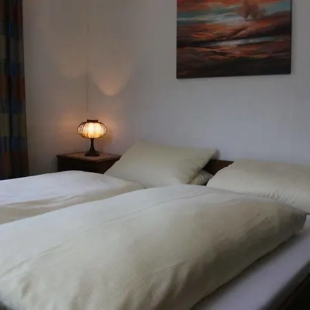 Tannenhof Gasthuis 2*