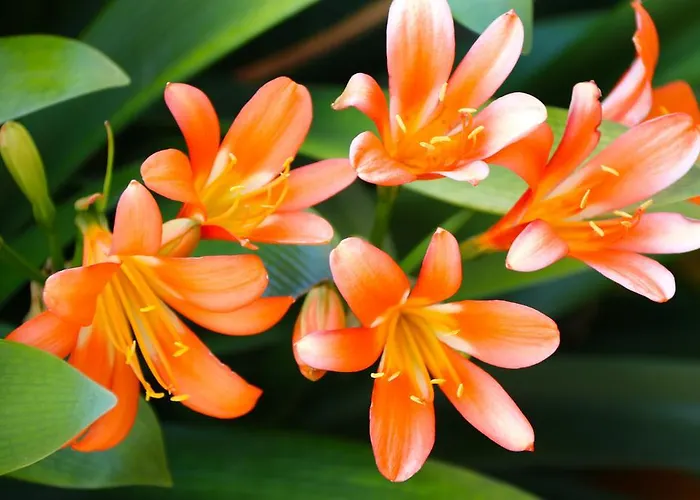 坦能豪夫旅馆 招待所