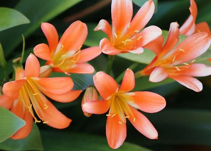 Affittacamere Tannenhof Lütz