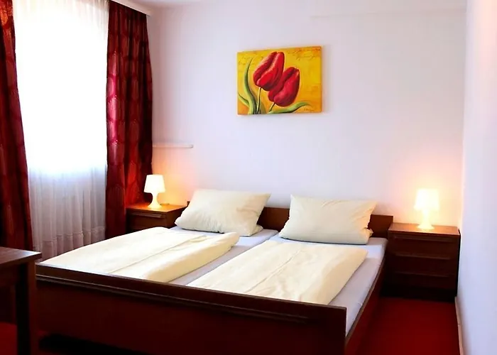 坦能豪夫旅馆 招待所