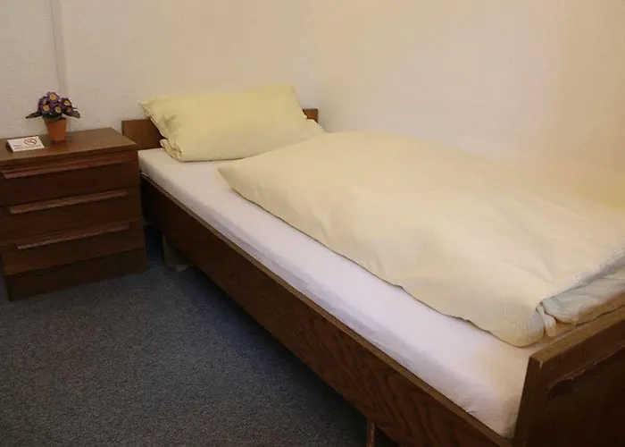 坦能豪夫旅馆 2*